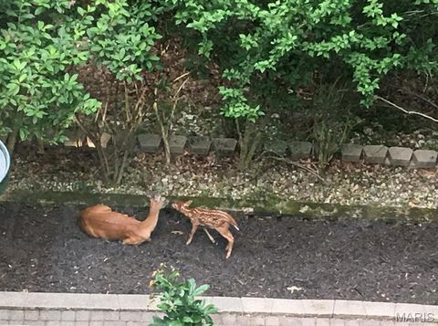 Tiny photo for 1315 Ridge Road, Wildwood, MO 63021 (MLS # 26003665)