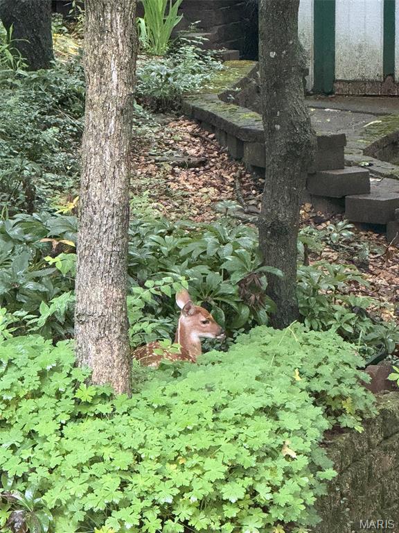 Ridge Road Farms - Residential
