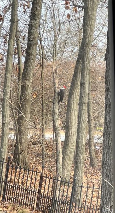 Tiny photo for 1315 Ridge Road, Wildwood, MO 63021 (MLS # 26003665)