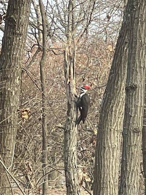 Ridge Road Farms - Residential