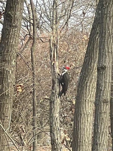 Tiny photo for 1315 Ridge Road, Wildwood, MO 63021 (MLS # 26003665)