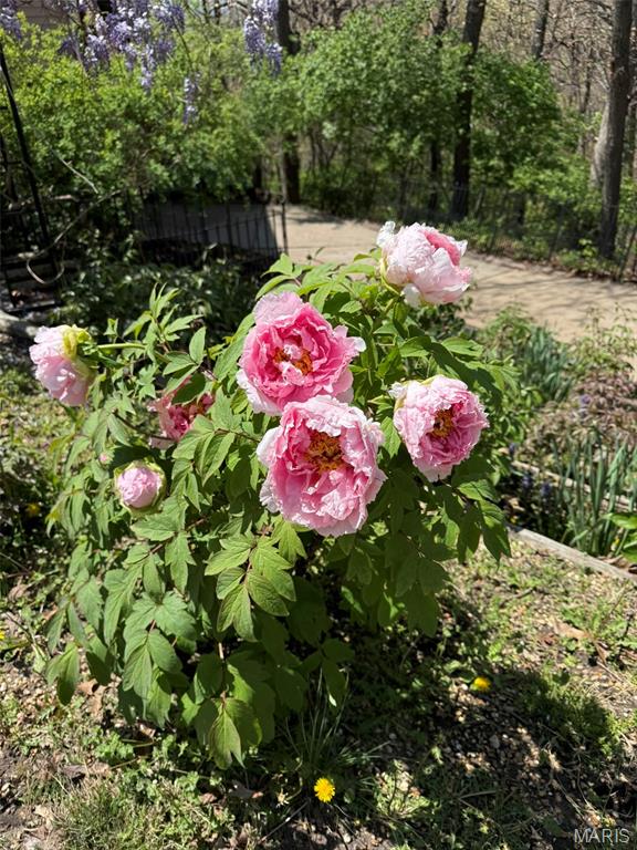 Ridge Road Farms - Residential