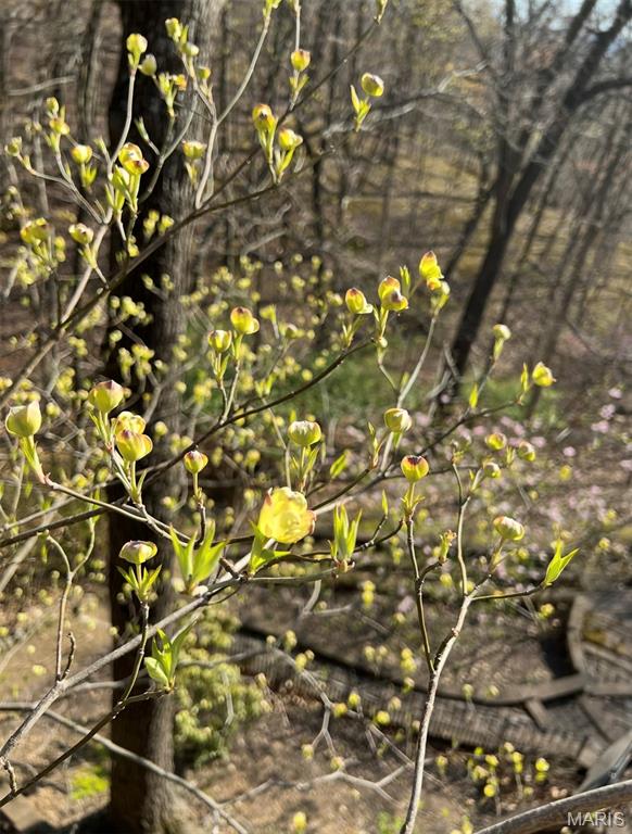 Ridge Road Farms - Residential