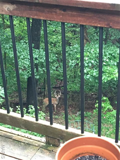 Tiny photo for 1315 Ridge Road, Wildwood, MO 63021 (MLS # 26003665)