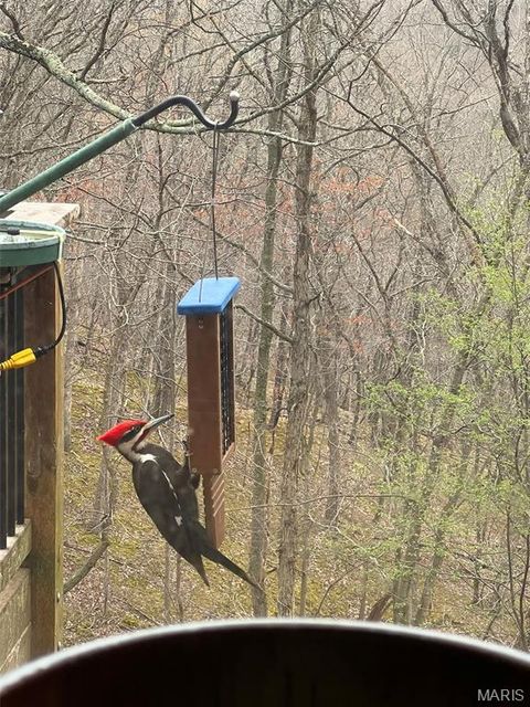 Tiny photo for 1315 Ridge Road, Wildwood, MO 63021 (MLS # 26003665)