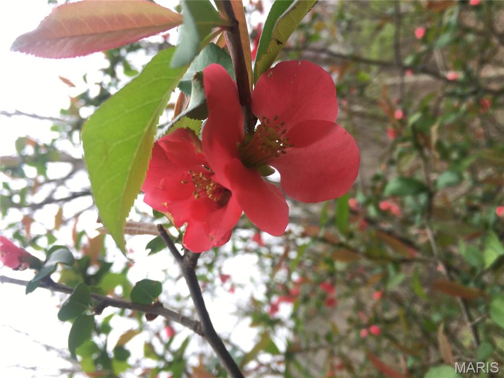 Ridge Road Farms - Residential