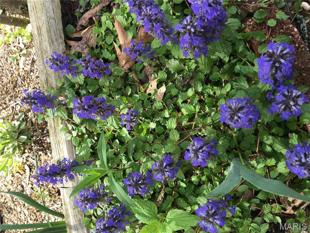 Ridge Road Farms - Residential