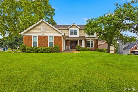 Photo of 20 Greystoke Court, Ballwin, MO 63021 (MLS # 26031330)
