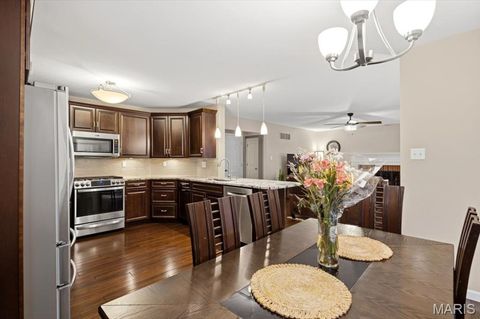 Tiny photo for 20 Greystoke Court, Ballwin, MO 63021 (MLS # 26031330)