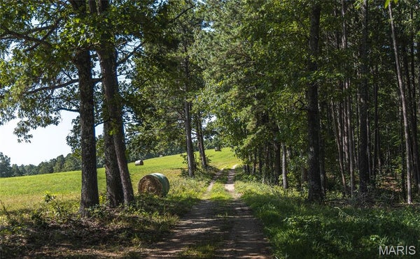 141 PRIVATE RD, WEST PLAINS, MO 65775 - Image e4e9062ed1f281a65048be7c674e65e9/2316546265
