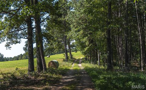 Photo of 4 Private Drive 2336, Norwood, MO 65717 (MLS # 26047271)