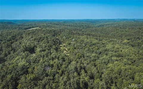 Tiny photo for 4 Private Drive 2336, Norwood, MO 65717 (MLS # 26047271)