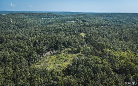 Tiny photo for 4 Private Drive 2336, Norwood, MO 65717 (MLS # 26047271)