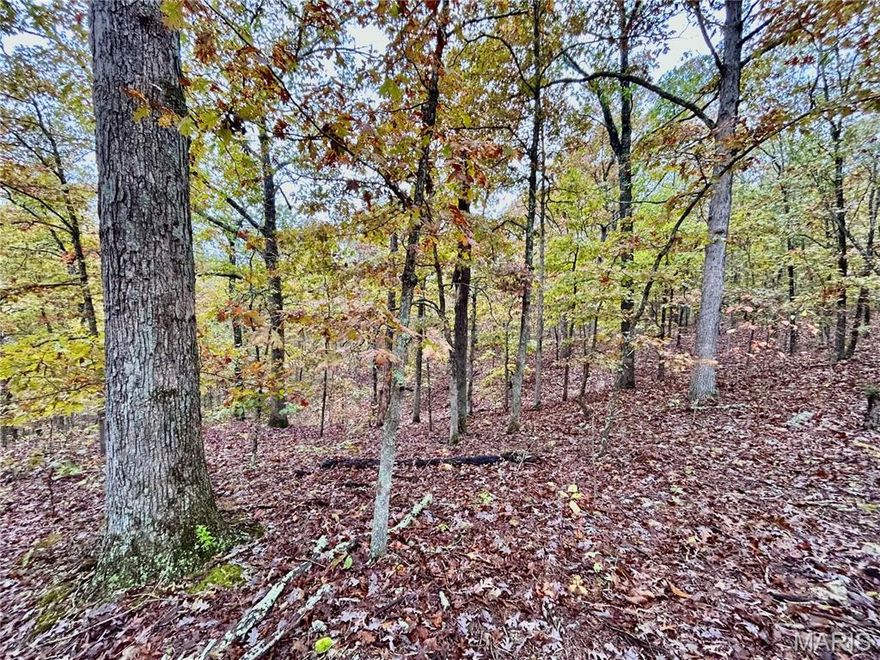 This 52 +/- acres of adventure is awaiting its new owner!! If you are looking for a versatile property to hunt, explore, build your dream home & be 7 minutes from Salem, then this one is worth your time to look at. The property has marketable timber including ancient white oak, red oak & hickory. Trails through the woods. A wet weather creek running through the middle of the property. There are many locations to build your dream home in a private and peaceful setting. This property is located on a well-maintained gravel road 3/10ths of a mile off of a chip and seal road. Located within a few minutes of Shawnee Mac Lakes and Mark Twain National Forest. Within 30 minutes of the Current River & Meramec River. For the avid hunters, this property also provides an abundance of Deer and Turkey. Property will be surveyed prior to closing. Multiple adjoining tracts if you want to purchase more! Call to schedule your private showing today!!