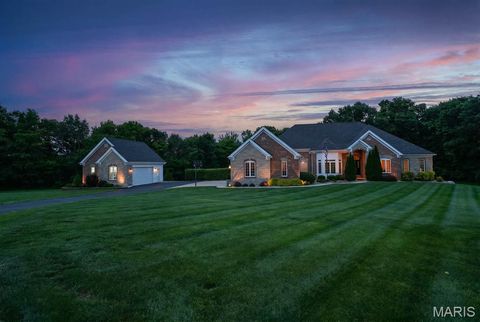 Photo of 320 Nicole Court, Troy, MO 63379 (MLS # 26031239)