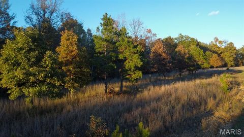 Photo of 0 BB Highway, Fairdealing, MO 63945 (MLS # 25073604)