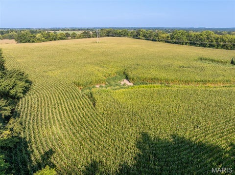 Tiny photo for 19 Walnut Hill Lane, Elsberry, MO 63343 (MLS # 26063208)