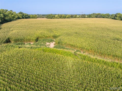 Tiny photo for 19 Walnut Hill Lane, Elsberry, MO 63343 (MLS # 26063208)