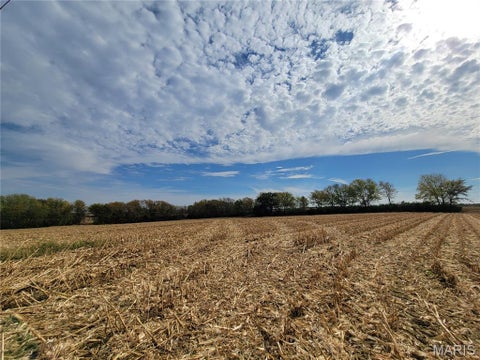 Tiny photo for 19 Walnut Hill Lane, Elsberry, MO 63343 (MLS # 26063208)