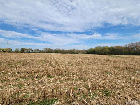 Tiny photo for 19 Walnut Hill Lane, Elsberry, MO 63343 (MLS # 26063208)