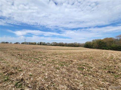 Tiny photo for 19 Walnut Hill Lane, Elsberry, MO 63343 (MLS # 26063208)
