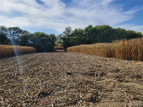 Tiny photo for 19 Walnut Hill Lane, Elsberry, MO 63343 (MLS # 26063208)
