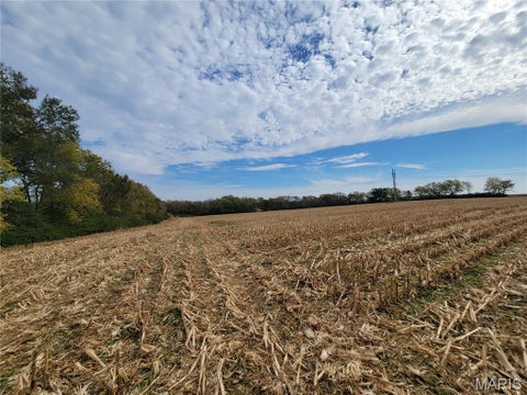 Tiny photo for 19 Walnut Hill Lane, Elsberry, MO 63343 (MLS # 26063208)