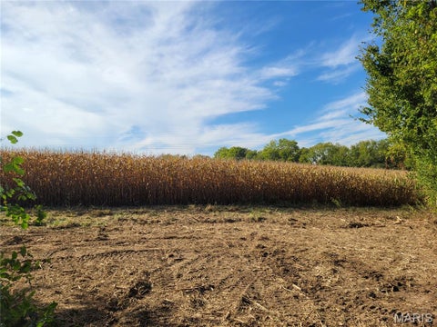 Tiny photo for 19 Walnut Hill Lane, Elsberry, MO 63343 (MLS # 26063208)