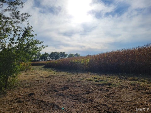Tiny photo for 19 Walnut Hill Lane, Elsberry, MO 63343 (MLS # 26063208)