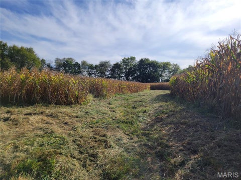 Tiny photo for 19 Walnut Hill Lane, Elsberry, MO 63343 (MLS # 26063208)