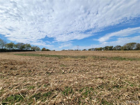 Tiny photo for 19 Walnut Hill Lane, Elsberry, MO 63343 (MLS # 26063208)