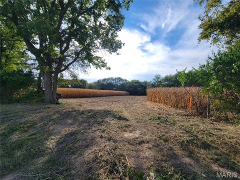 Tiny photo for 19 Walnut Hill Lane, Elsberry, MO 63343 (MLS # 26063208)
