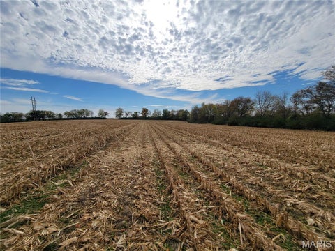 Tiny photo for 19 Walnut Hill Lane, Elsberry, MO 63343 (MLS # 26063208)