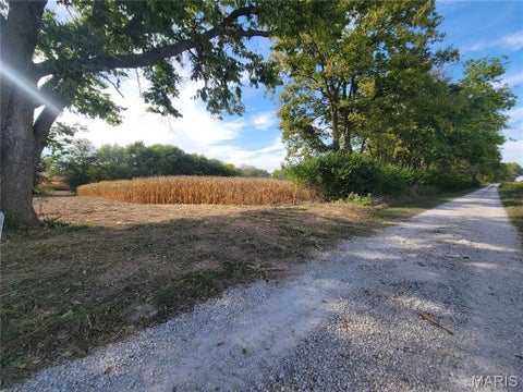 Tiny photo for 19 Walnut Hill Lane, Elsberry, MO 63343 (MLS # 26063208)