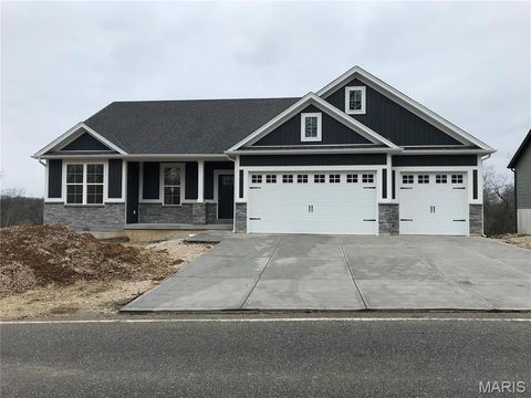 1694 Scenic Drive Festus MO 63028