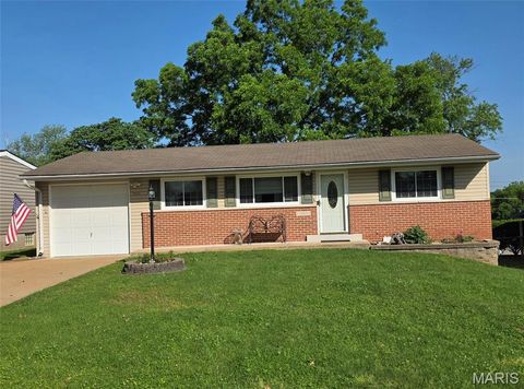 Photo of 10531 Crecelius Drive, St Louis, MO 63123 (MLS # 26031819)