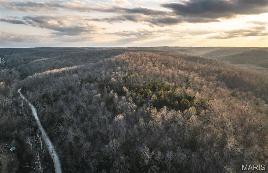 51 acres of beautiful wooded land where you can truly own your own mountain. This property offers breathtaking views, abundant wildlife, and excellent hunting opportunities with plenty of game throughout the land. It backs up to the Mark Twain National Forest, providing even more room to explore and enjoy nature. Whether you’re looking to build a private retreat, a hunting getaway, or simply invest in land, this property offers peace, privacy, and endless possibilities. Conveniently located with easy access to I-44 while still offering the seclusion of the outdoors.