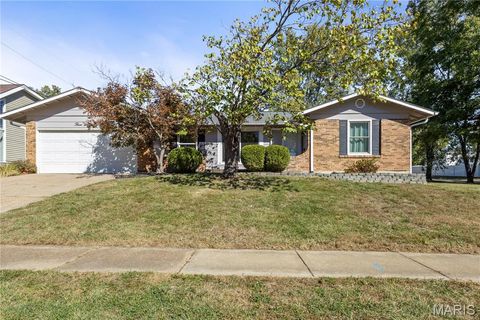 363 Novara Drive Ballwin MO 63021