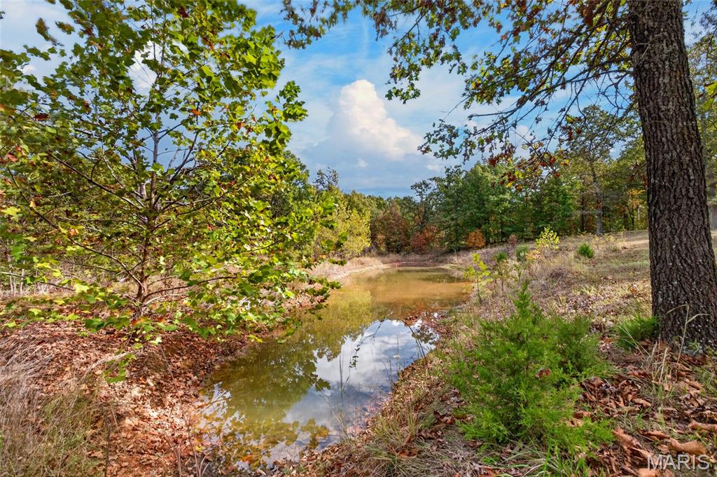 Photo of 9 Verbena Trail, Tunas, MO 65764 (MLS # 26067695)