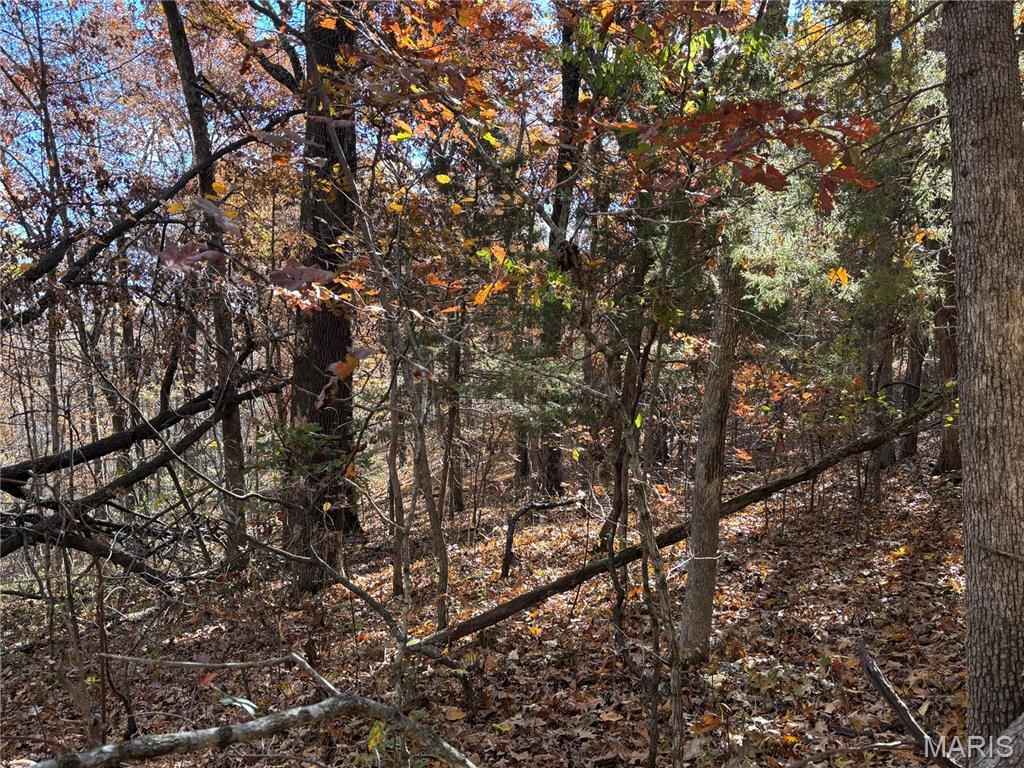 Photo of 1977 Red Bud Drive, Bonne Terre, MO 63628 (MLS # 25079393)