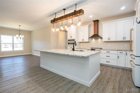 Tiny photo for 4 Brook Parc Court, Hillsboro, MO 63050 (MLS # 26026545)