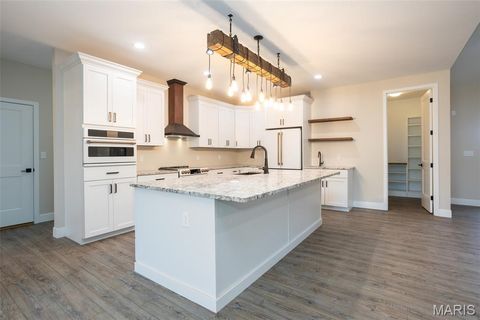 Tiny photo for 4 Brook Parc Court, Hillsboro, MO 63050 (MLS # 26026545)