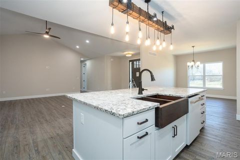 Tiny photo for 4 Brook Parc Court, Hillsboro, MO 63050 (MLS # 26026545)