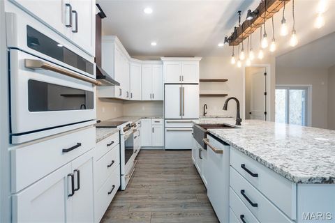 Tiny photo for 4 Brook Parc Court, Hillsboro, MO 63050 (MLS # 26026545)
