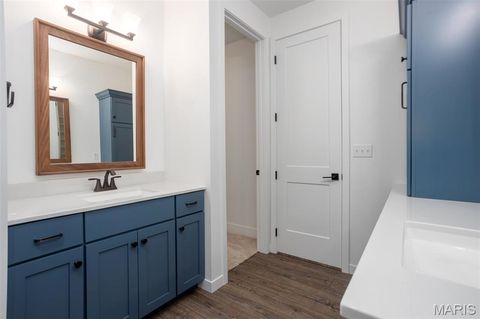 Tiny photo for 4 Brook Parc Court, Hillsboro, MO 63050 (MLS # 26026545)