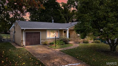 136 N Gore Avenue N Webster Groves MO 63119