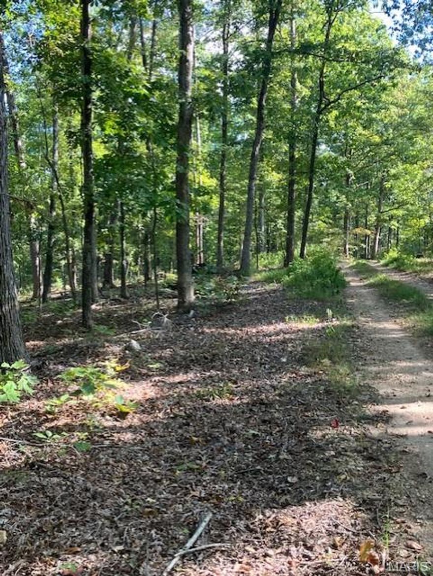 This picturesque 22.6 acres with a magnificent Ozarks view includes a deeded access road to the property, and deeded access to a nearby shared spring-fed stream, and sits within about a mile of Mark Twain National Forest. 
This ridgetop oasis comes with NO restrictions, and can be had for less than the price of a new truck or SUV. 
Hunt, camp, build, ride ATVs on your own land, or fish or play in the shared creek section ... endless opportunities.
This property is wooded and rolling. You are within a mile of the 22,176-acre Mark Twain National Forest ... public ground where you can also hunt, ride and explore. All this, and only about 2 miles by road from U.S. 67.
Use this wooded, secluded property as a base camp for adventure or build your forever home and live out your days in secluded bliss. This and surrounding land is teeming with deer, turkey and small game, and the occasional feral hog or maybe a black bear.
There is additional acres available which adjoin this piece if interested.