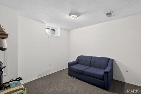 Tiny photo for 700 3rd Street, Troy, MO 63379 (MLS # 26028003)