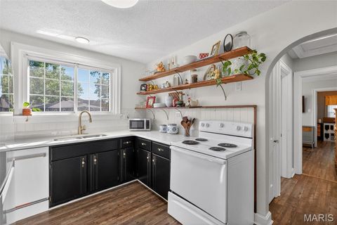 Tiny photo for 700 3rd Street, Troy, MO 63379 (MLS # 26028003)