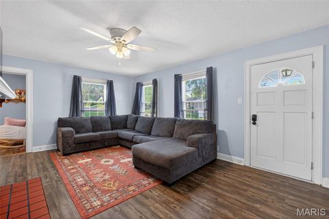 Tiny photo for 700 3rd Street, Troy, MO 63379 (MLS # 26028003)
